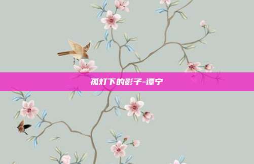 孤灯下的影子-谭宁