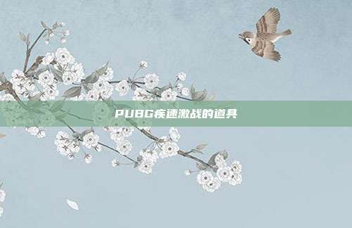 PUBG疾速激战的道具