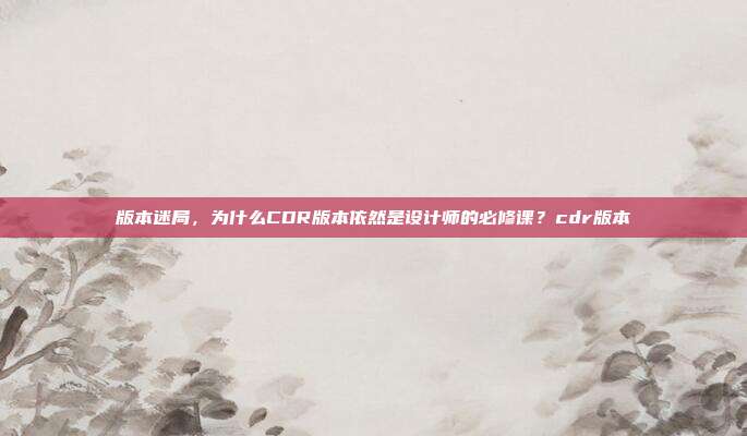 版本迷局，为什么CDR版本依然是设计师的必修课？cdr版本