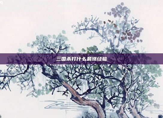 三国杀打什么最涨经验