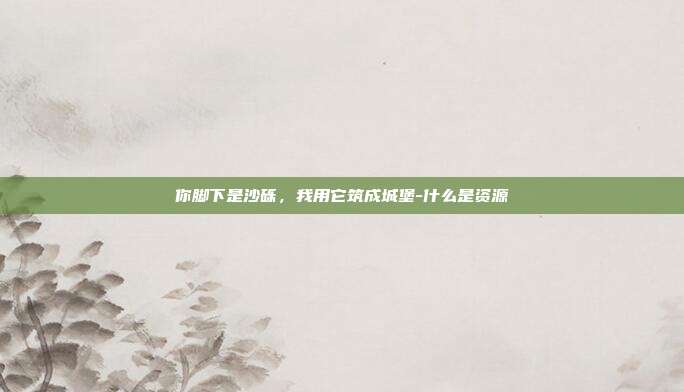 你脚下是沙砾，我用它筑成城堡-什么是资源