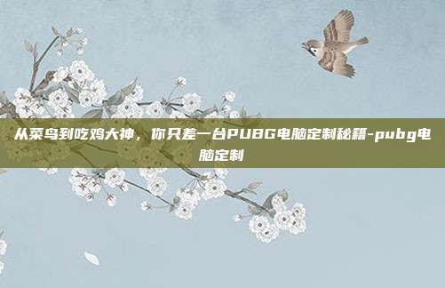 从菜鸟到吃鸡大神，你只差一台PUBG电脑定制秘籍-pubg电脑定制