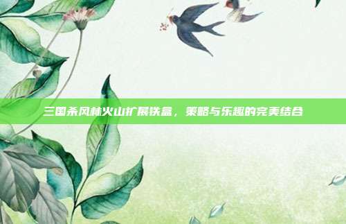三国杀风林火山扩展铁盒，策略与乐趣的完美结合