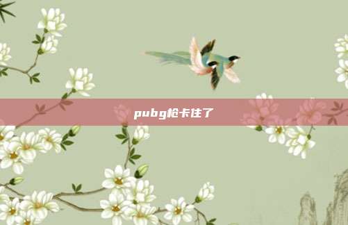 pubg枪卡住了