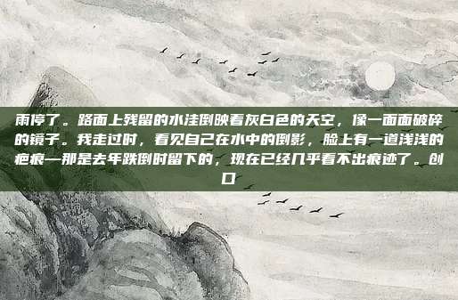 雨停了。路面上残留的水洼倒映着灰白色的天空，像一面面破碎的镜子。我走过时，看见自己在水中的倒影，脸上有一道浅浅的疤痕—那是去年跌倒时留下的，现在已经几乎看不出痕迹了。创口