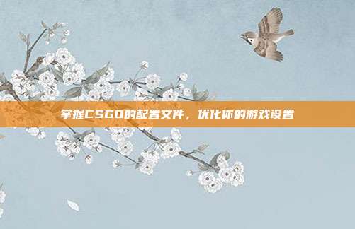 掌握CSGO的配置文件，优化你的游戏设置