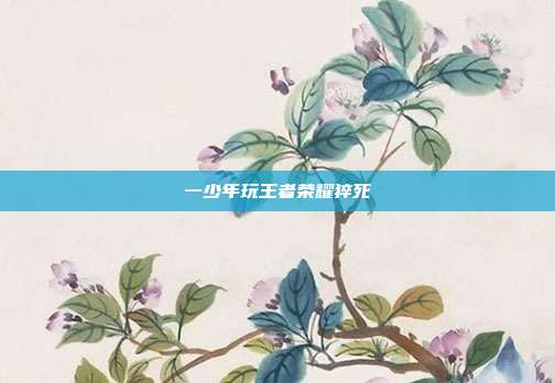 一少年玩王者荣耀猝死