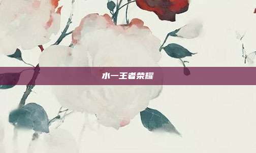 水一王者荣耀