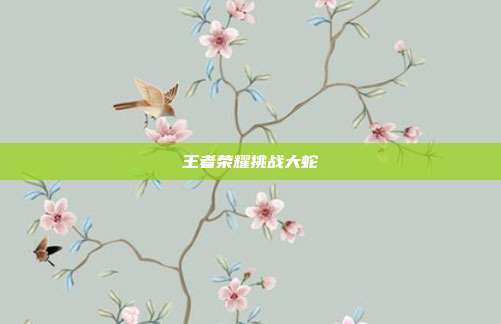 王者荣耀挑战大蛇