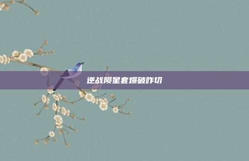 逆战陨星套爆破咋切