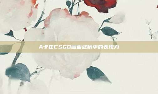 A卡在CSGO画面滤镜中的表现力