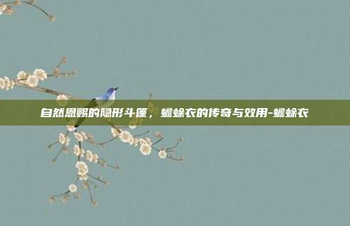 自然恩赐的隐形斗篷，蟾蜍衣的传奇与效用-蟾蜍衣