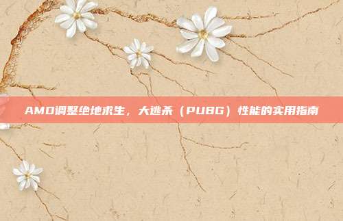 AMD调整绝地求生,大逃杀(PUBG)性能的实用指南