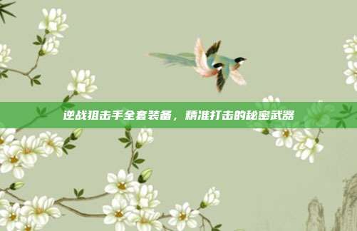 逆战狙击手全套装备,精准打击的秘密武器