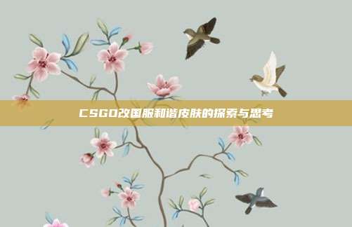 CSGO改国服和谐皮肤的探索与思考