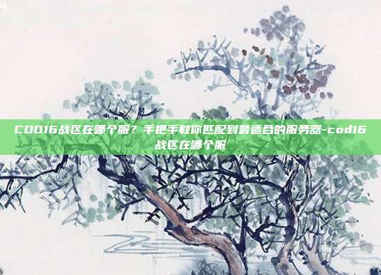 COD16战区在哪个服?手把手教你匹配到最适合的服务器-cod16战区在哪个服
