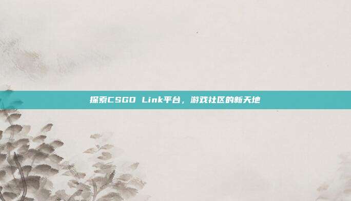 探索CSGO Link平台,游戏社区的新天地