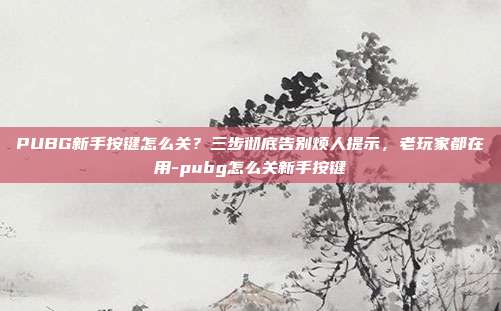 PUBG新手按键怎么关?三步彻底告别烦人提示,老玩家都在用-pubg怎么关新手按键