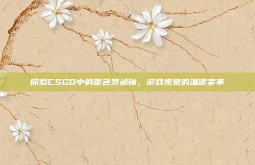 探索CSGO中的暖色系滤镜,游戏视觉的温暖变革