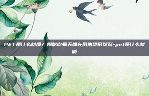 PET是什么材质?揭秘你每天都在用的隐形塑料-pet是什么材质