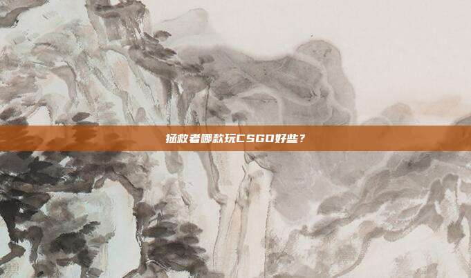 拯救者哪款玩CSGO好些？