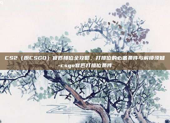 CS2(原CSGO)官匹排位全攻略,打排位的必备条件与解锁须知-csgo官匹打排位条件