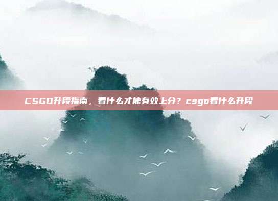 CSGO升段指南，看什么才能有效上分？csgo看什么升段