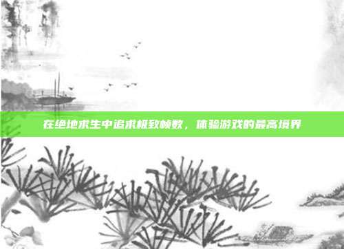 在绝地求生中追求极致帧数,体验游戏的最高境界