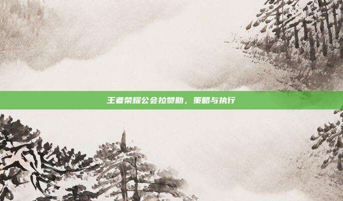 王者荣耀公会拉赞助,策略与执行