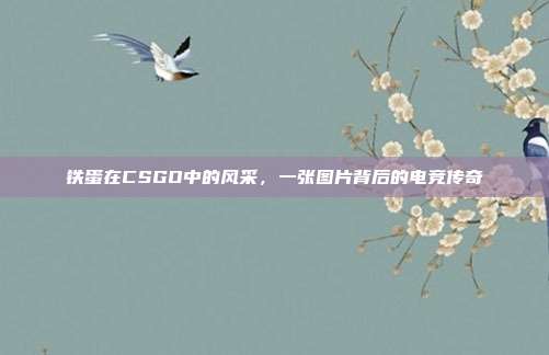 铁蛋在CSGO中的风采,一张图片背后的电竞传奇