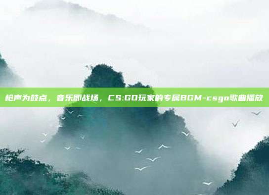 枪声为鼓点，音乐即战场，CS:GO玩家的专属BGM-csgo歌曲播放