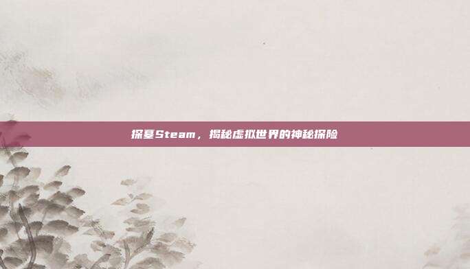 探墓Steam，揭秘虚拟世界的神秘探险