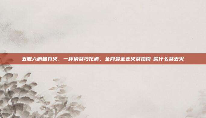 五脏六腑各有火,一杯清茶巧化解,全网最全去火茶指南-喝什么茶去火