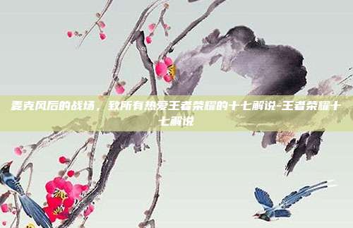 麦克风后的战场，致所有热爱王者荣耀的十七解说-王者荣耀十七解说