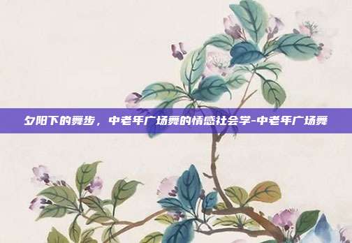 夕阳下的舞步,中老年广场舞的情感社会学-中老年广场舞
