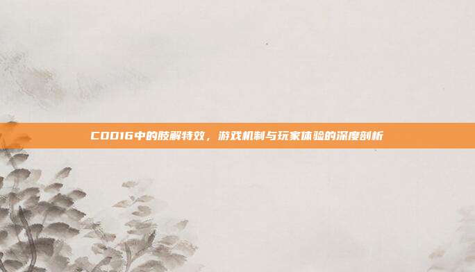 COD16中的肢解特效，游戏机制与玩家体验的深度剖析