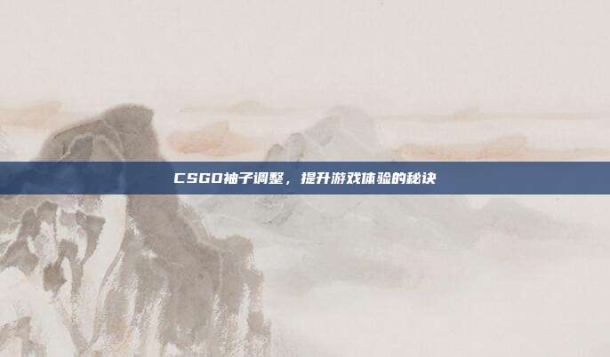 CSGO袖子调整,提升游戏体验的秘诀