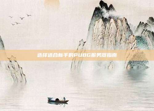 选择适合新手的PUBG服务器指南