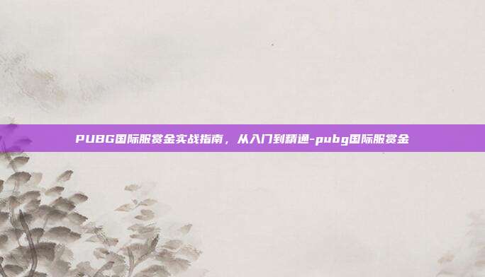 PUBG国际服赏金实战指南,从入门到精通-pubg国际服赏金