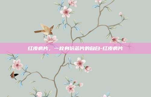 红皮病片，一枚身份芯片的自白-红皮病片