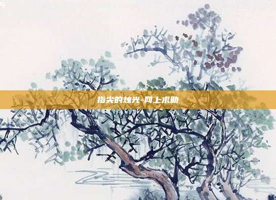 指尖的烛光-网上求助