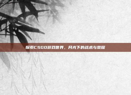 探索CSGO游戏世界,月光下的战术与荣耀