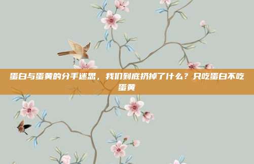 蛋白与蛋黄的分手迷思,我们到底扔掉了什么?只吃蛋白不吃蛋黄