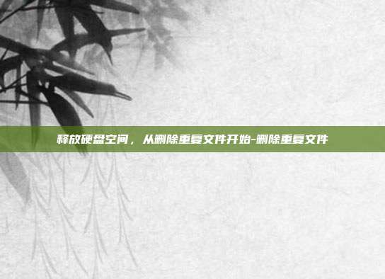 释放硬盘空间,从删除重复文件开始-删除重复文件