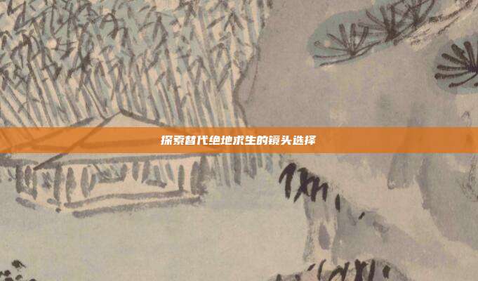 探索替代绝地求生的镜头选择