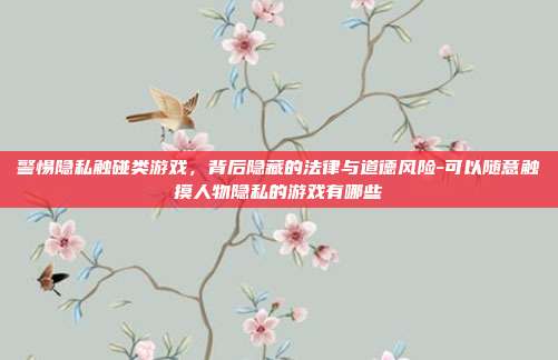 警惕隐私触碰类游戏,背后隐藏的法律与道德风险-可以随意触摸人物隐私的游戏有哪些