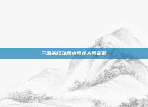 三国杀移动版小号养大号策略