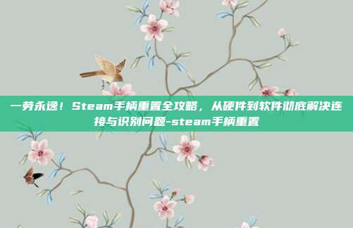 一劳永逸!Steam手柄重置全攻略,从硬件到软件彻底解决连接与识别问题-steam手柄重置