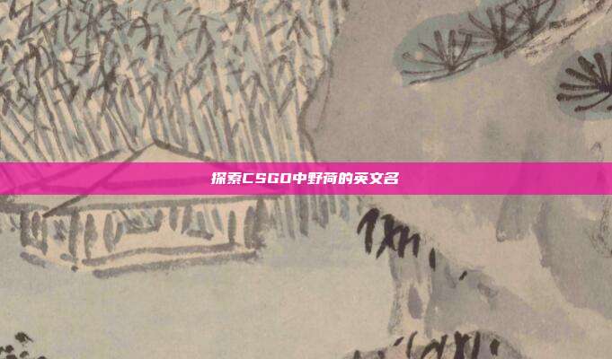 探索CSGO中野荷的英文名