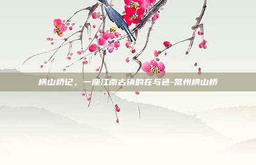 横山桥记，一座江南古镇的在与色-常州横山桥